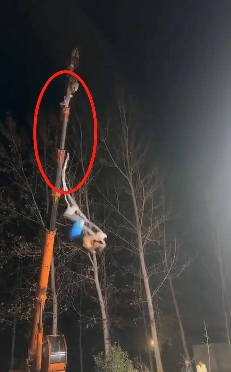 杂技演员表演时高空坠落致重伤，民间艺人明知危险也停不下来