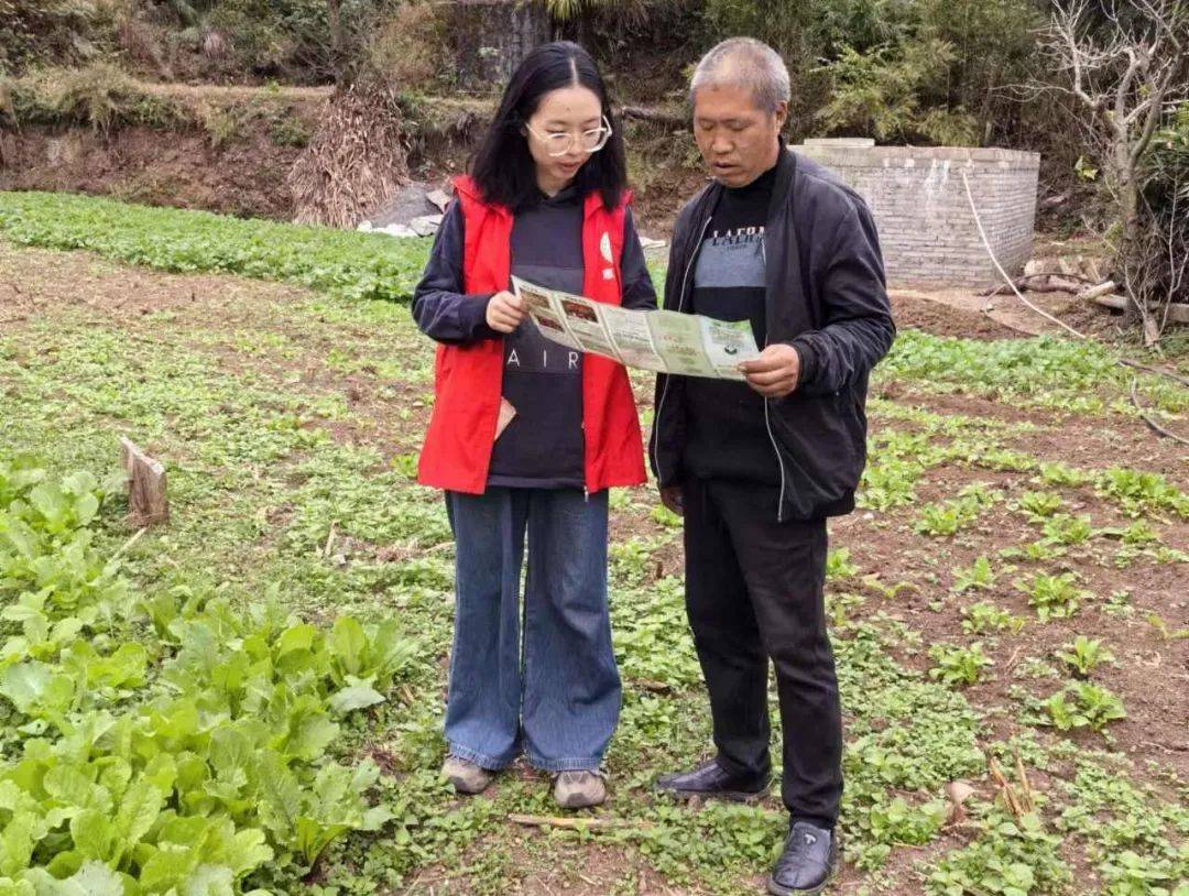 禁种铲毒进行中！守护“净土”不放松！——全覆盖开展2025年禁种铲毒工作（三）