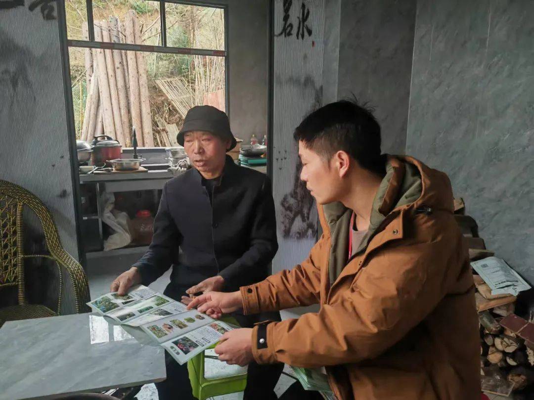 禁种铲毒进行中！守护“净土”不放松！——全覆盖开展2025年禁种铲毒工作（三）