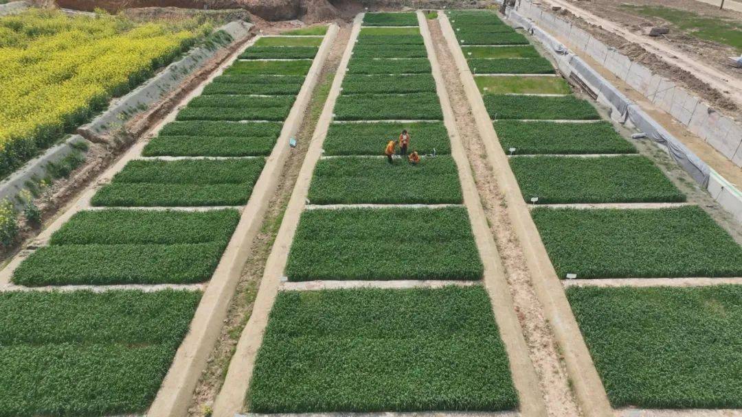 总投资4.8亿元!永康这个项目有新进展