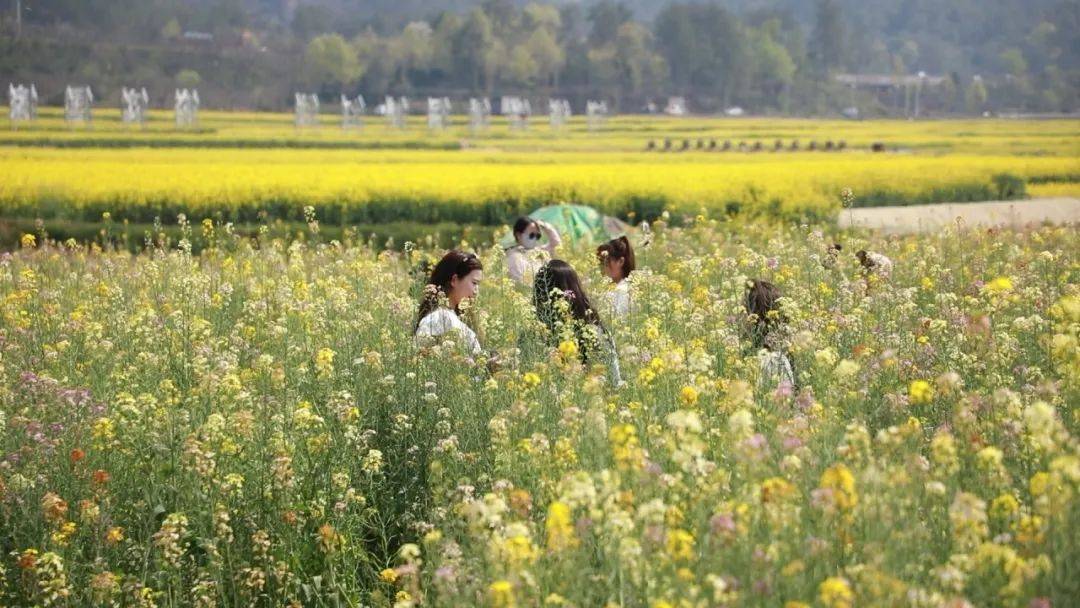 总投资4.8亿元!永康这个项目有新进展