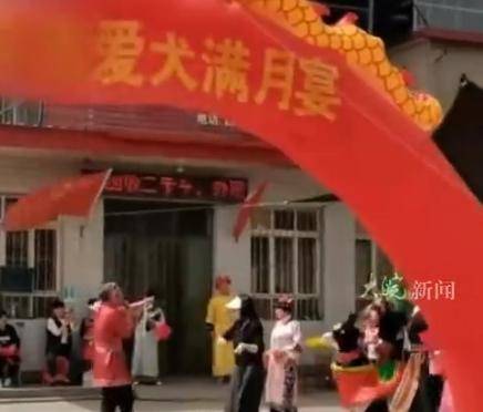 河北一店铺给狗办满月宴引争议,当事人:不是炒作,只是爱狗