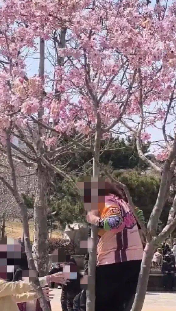 事发劳动公园！这4名女子，你们这么做不脸红吗？