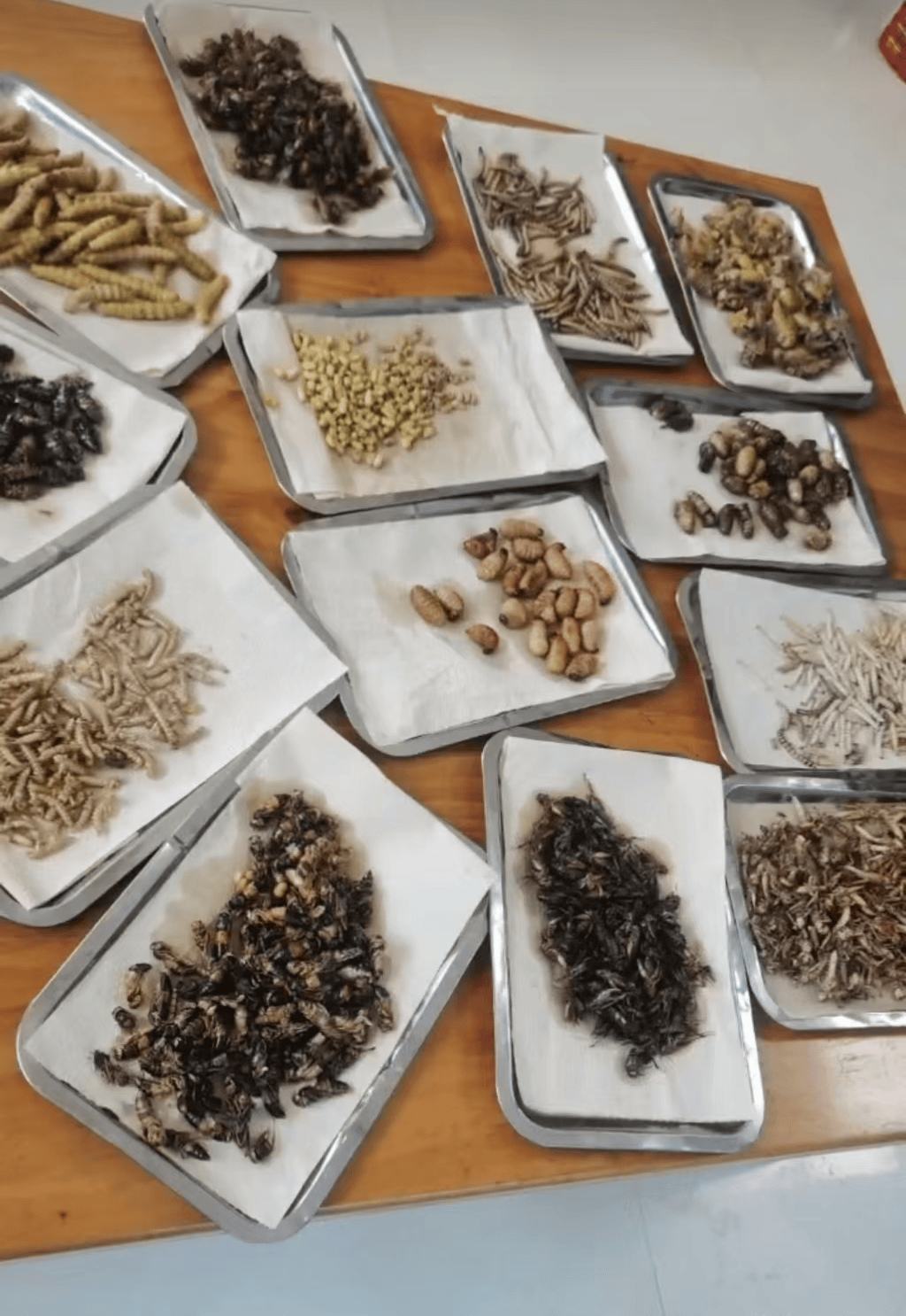 一小饭店老板随手拍视频竟成“违法广告”，45万元“天价处罚”引争议