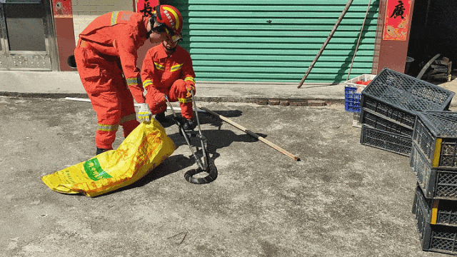 家中惊现2米剧毒眼镜王蛇!江西多地蛇出没,这些常识要牢记…