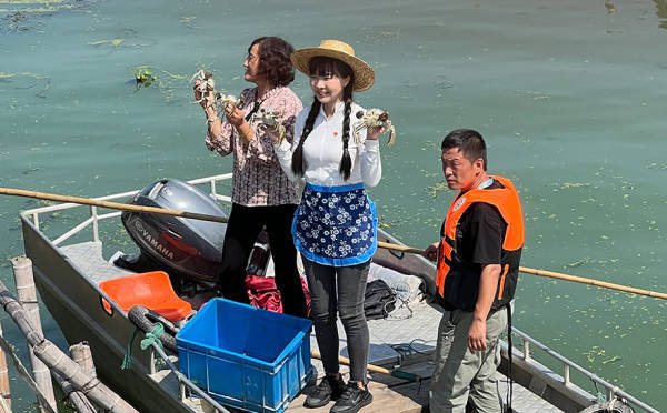 “洗澡蟹”“听涛蟹”阴影下,大闸蟹产业从产地之争迈向价值之战