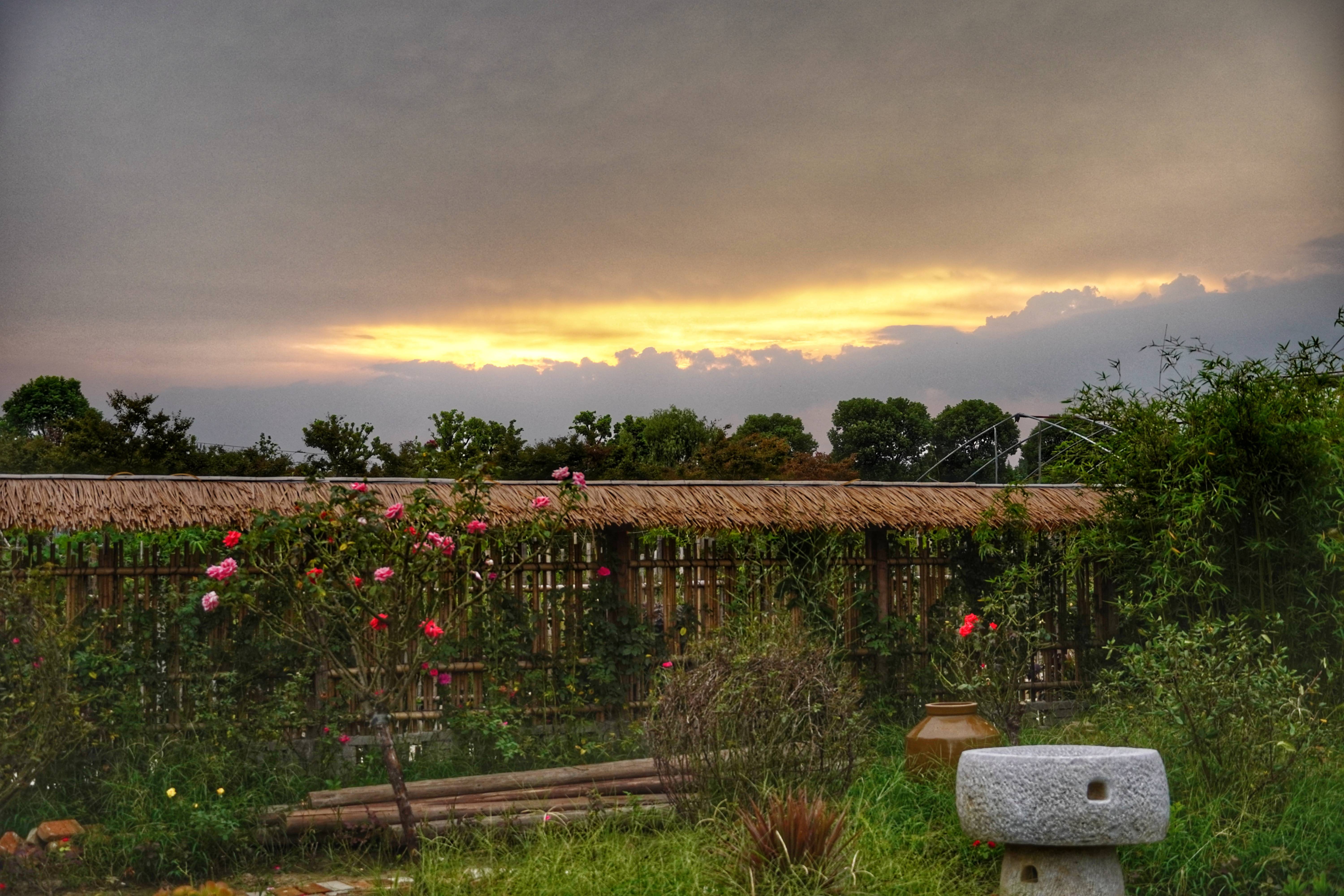 从报社到寺院,95后打工人把经历说成脱口秀