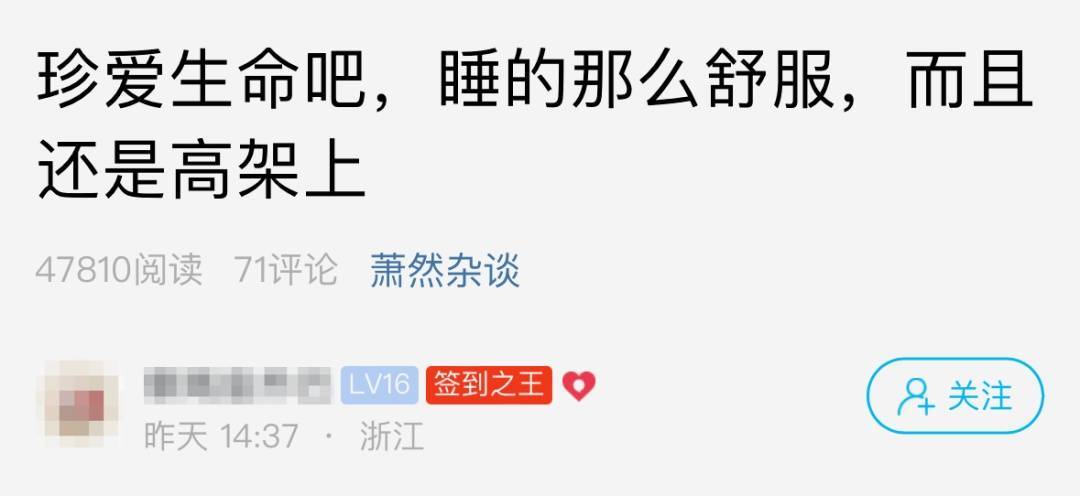 “原来真有这样的人！”杭州车主拍到高架上一幕，网友看不下去了