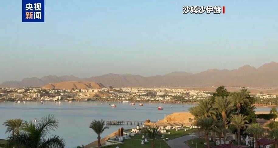 早安!世界丨哈马斯:与以间接谈判取得积极进展;2025年诺贝尔生理学或医学奖揭晓