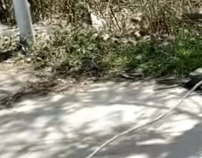 “13岁男孩路上遭绳子割喉”，最新后续