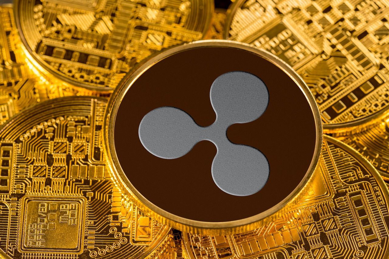 英文XRP(英文自我介绍)