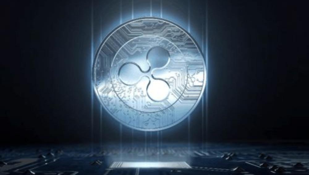 xrp会下架吗(xrp是不是跑路了)