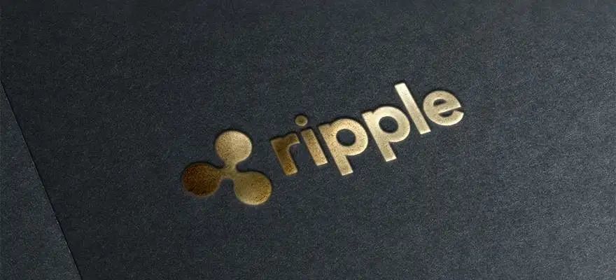 垃圾xrp(垃圾分类手抄报图片)