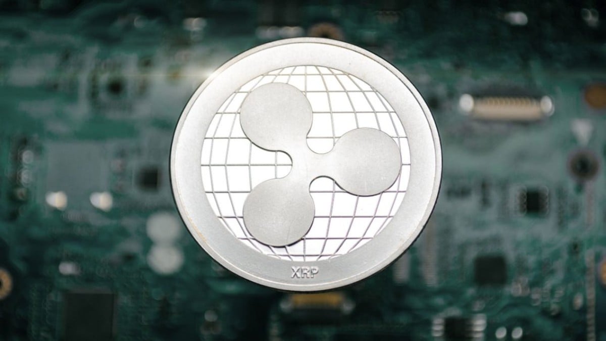 怎么做XRP(怎么做菜才好吃)