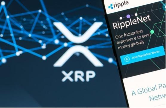 xrp定期(xrpd是什么检测方法)