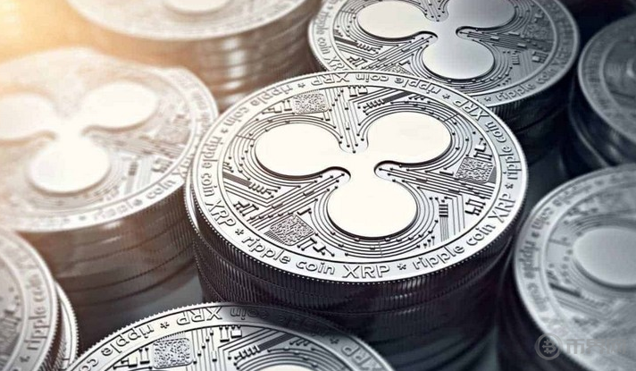 99xrp(99xxs在线观看)