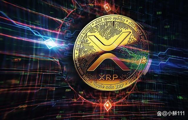 xrp币链接(xrp币有什么用)