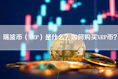 xrp币对接(xrp币怎么交易)