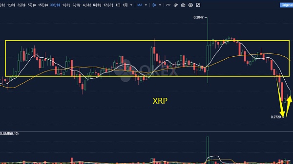 xrp走势(xrp走势图)