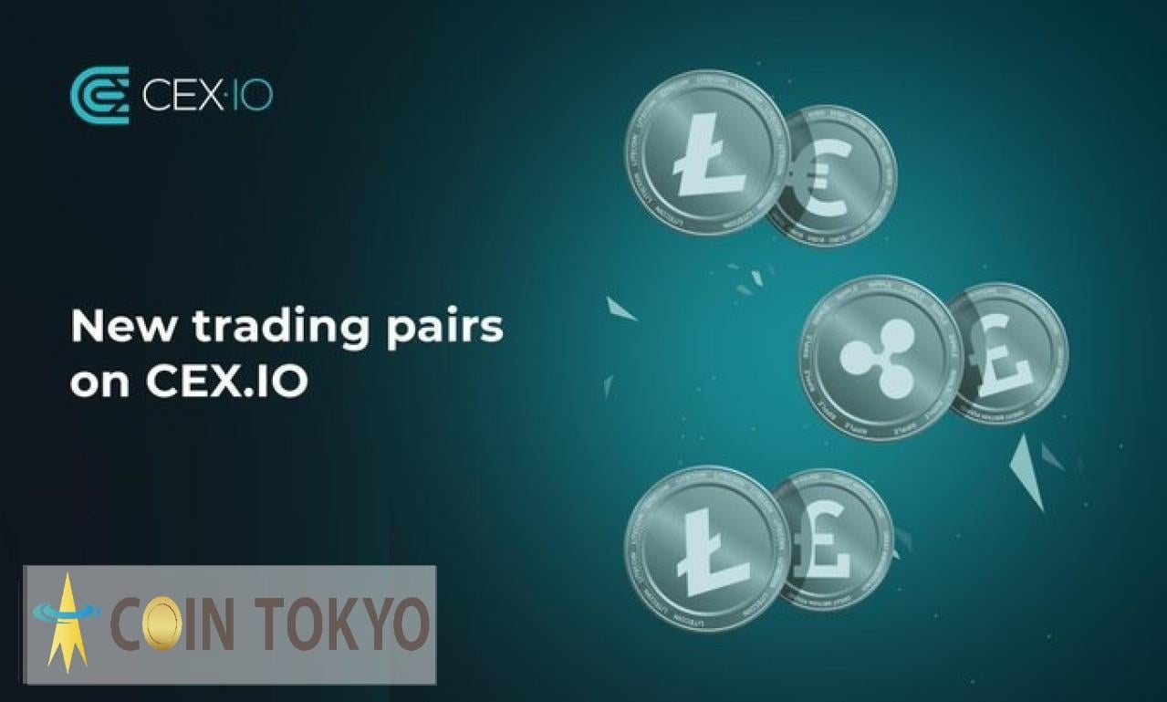 xrp投票(xrp币最新消息)