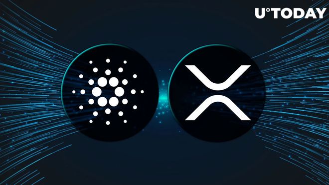 XRp1(xrp1月11日听证会)