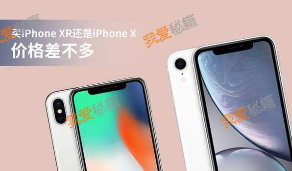 XRP配置(xrp是什么意思)