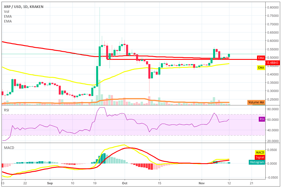 xrp走势(lpr走势图)