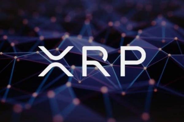 xrp币制度(xrp币百度百科)