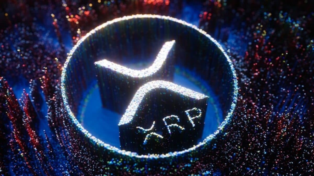 xrp快照(xrpd和xrd的区别)