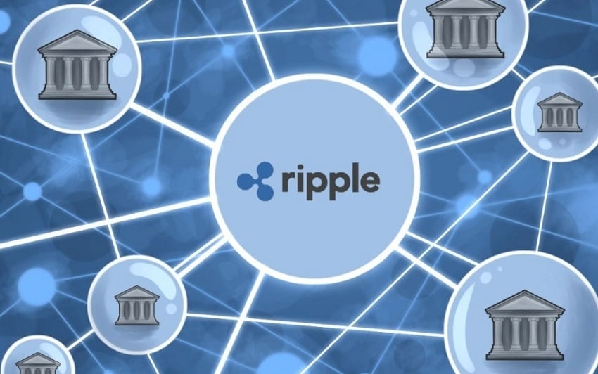 xrp英语(xrpd和xrd的区别)
