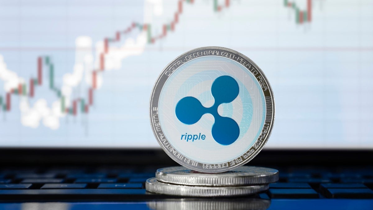 xrp投票(xrpd图谱怎么看)