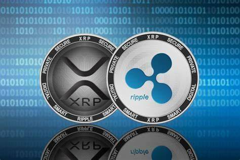 xrp英语(xrp165)