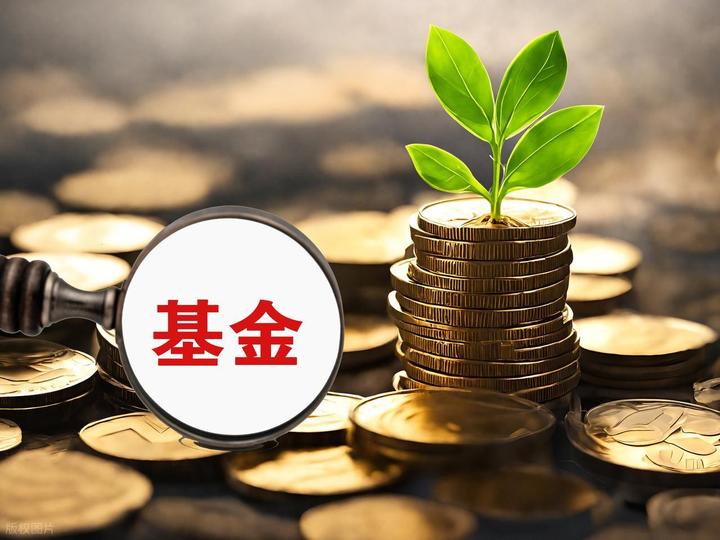 指数基金(指数基金净值估算)